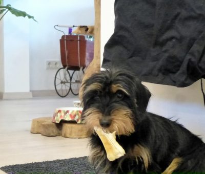 Kleo, von und zu…